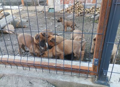 viberimage202203151001004901647351815