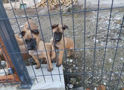 viberimage202203151001007211647351816