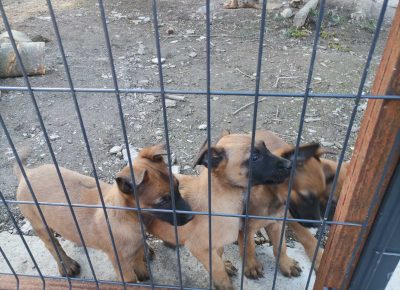 viberimage202203151001017201647351816