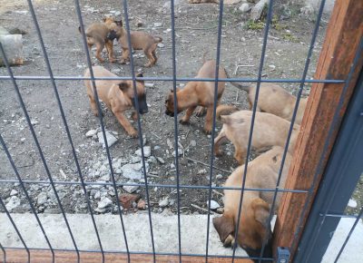 viberimage202203151001019291647351816