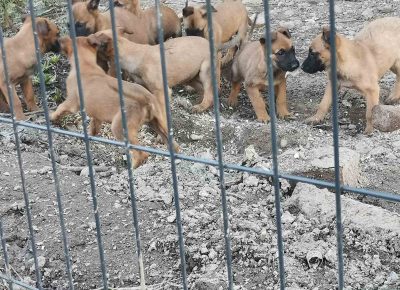 viberimage202203151001032001647351817