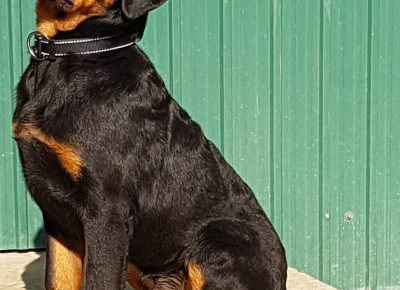 viberimage202203151120595211647422900