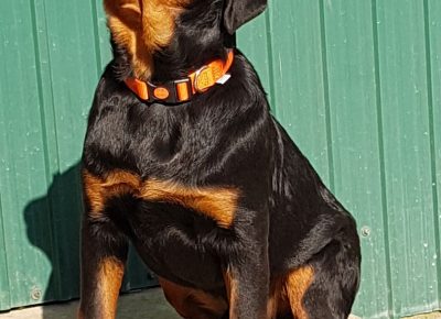 viberimage202203151120598651647422901