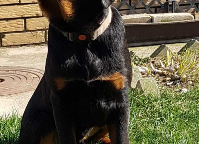 viberimage202203151121000111647422902