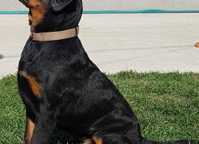 viberimage202203151121001131647422902