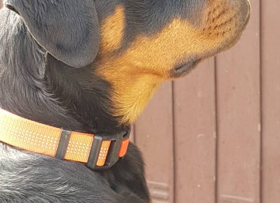 viberimage202203151121008131647422902