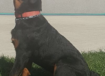 viberimage202203151121010321647422902