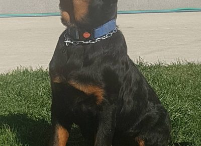 viberimage202203151121012601647422902