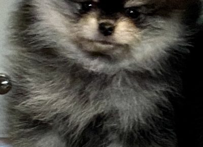 viberimage202203162121232801647643233