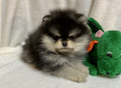 viberimage202203162121238631647643234