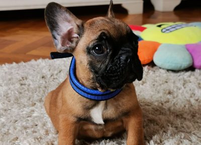 viberimage202203172030420241647597019