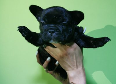 viberimage202203172031234421647597019