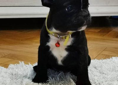 viberimage202203172031544591647597020