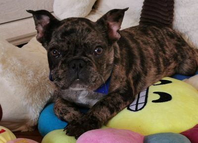 viberimage202203172032197651647597020