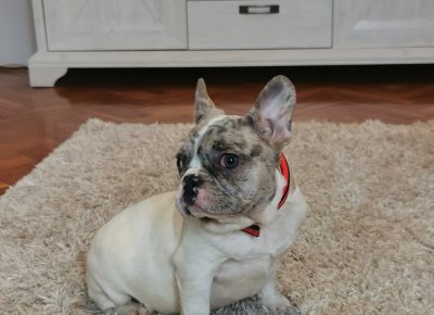 viberimage202203172032594401647597021