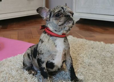 viberimage202203172033330881647597020