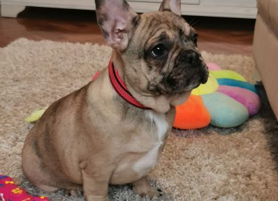 viberimage202203172033585051647597021