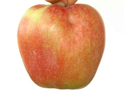 viberslika202102171348281647265085