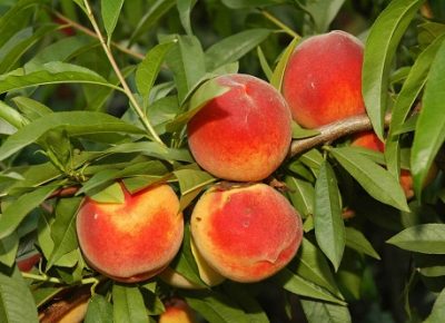 viberslika20210217134829manja1647265084