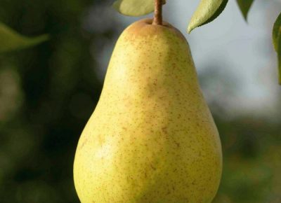 viberslika202203250931357181648723691