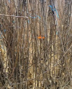 viberslika20220325093136387manja1648723692