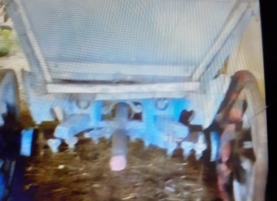 202204281123281651151189