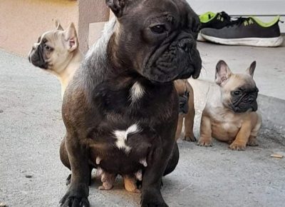 27347035430867644915367804401884720108922793n1650656788