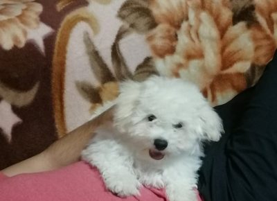 2738059983727642777905948563852087047485248n1650395907