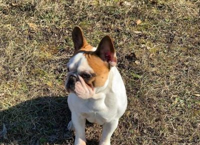 275105974495401598618633201509980688722345n1650656788