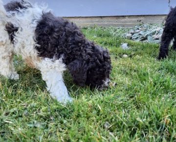 27588711415592349044585101425371857184130712n1648850562