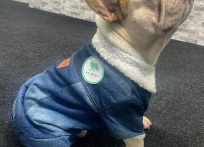 2771796793407739014378276370797498732938133n1650656789