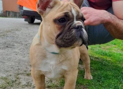 2774100147120039831420933637668501385690957n1650656789