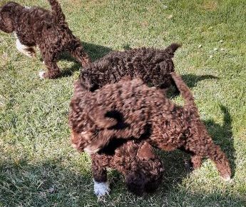 27745386227644009671946288129746909933815424n1648850562