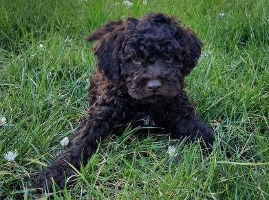 2774554946518288861231945510509718477838677n1648850562