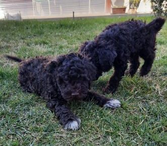 27747261313165023721693778605847428956610496n1648850562