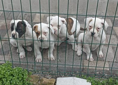 2779366063949982021612126261961993161590571n1649617990