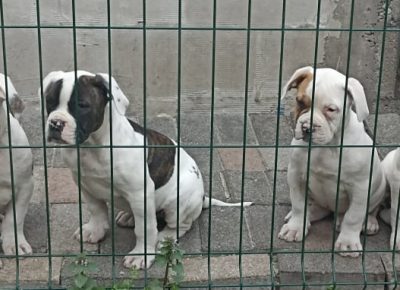 2779393694993178419151381896314656931541370n1649617991