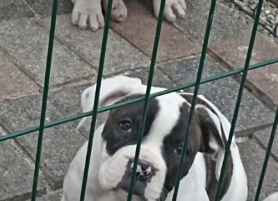 2779727586641516379966817730283129227587878n1649617992