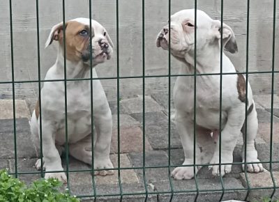 278061075291826849767058340226762177704864n1649617992