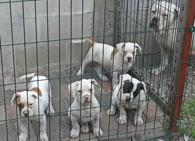 2780813613893616530366697261714178077919439n1649617992