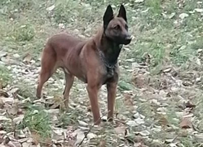 27821245213447412527105407293624727719621978n1650812768