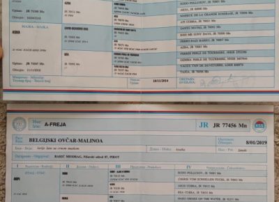 27838251713347082003668803808628159802841966n1650812768