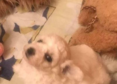 2784563067089244671300528145312025562560110n1650395908