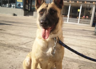 2786619432862394203279622089679725276306358n1650812768