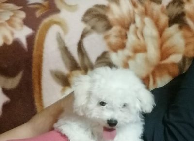 2786701445281627587126365020971812318250220n1650395909