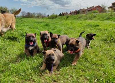 2787710837035637710724967998842715697816399n1650812770