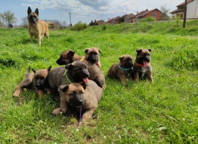 27880488656189636195854868199368823112385n1650812769