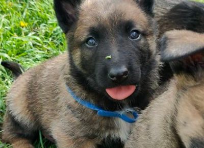 2788364454464131839211445388574530154419730n1650812769