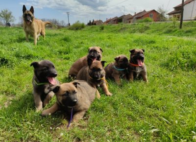 2789555084009017818787428757424327575509194n1650812769