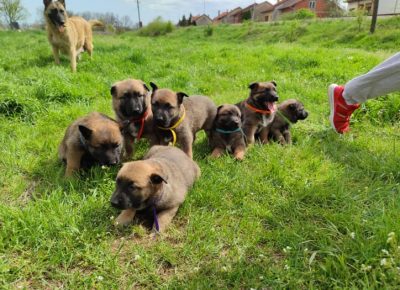 27898556220483695619904024238260870409794231n1650812769